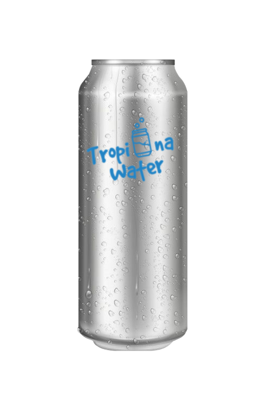 500ml Standard Aluminium Can 500ml Standard Aluminium Can